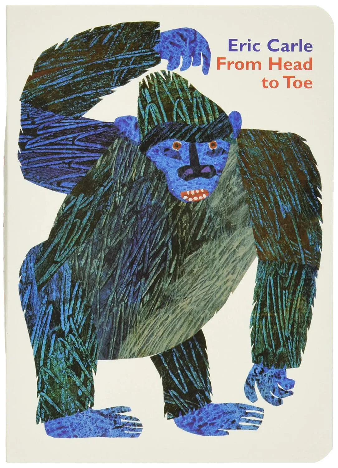 From Head to Toe Board Book Board book  Picture Book, March 27, 1999